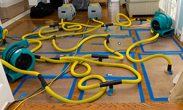 Professional Emergency Water Removal technician working in Blandford, MA